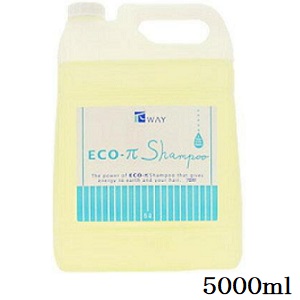 楽天市場】ニューウェイジャパン パイウェイ ミスト ナース 5000ml×2