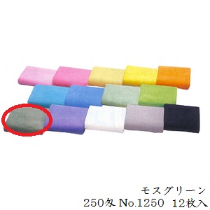 サロン工房 特選カラータオル 12枚入 250匁 No.1250 10 モスグリーン