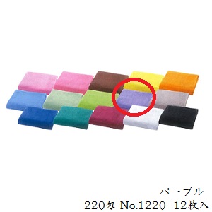 サロン工房 抗菌 カラータオル 12枚入 220匁 No.1220 11 パープル