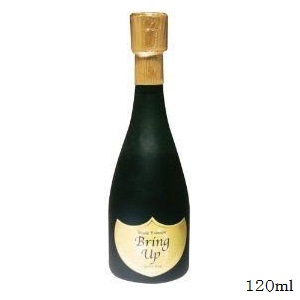 BRING UP ブリングアップ 育毛剤 120ml (治療薬部外品)
