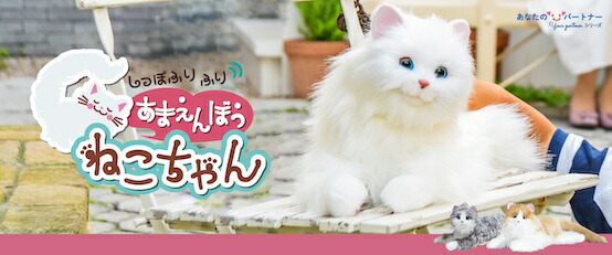 ニュースキンデオドラント 1万円台から＞9インチ大画面のディスプレイオーディオ「TENKEN B53