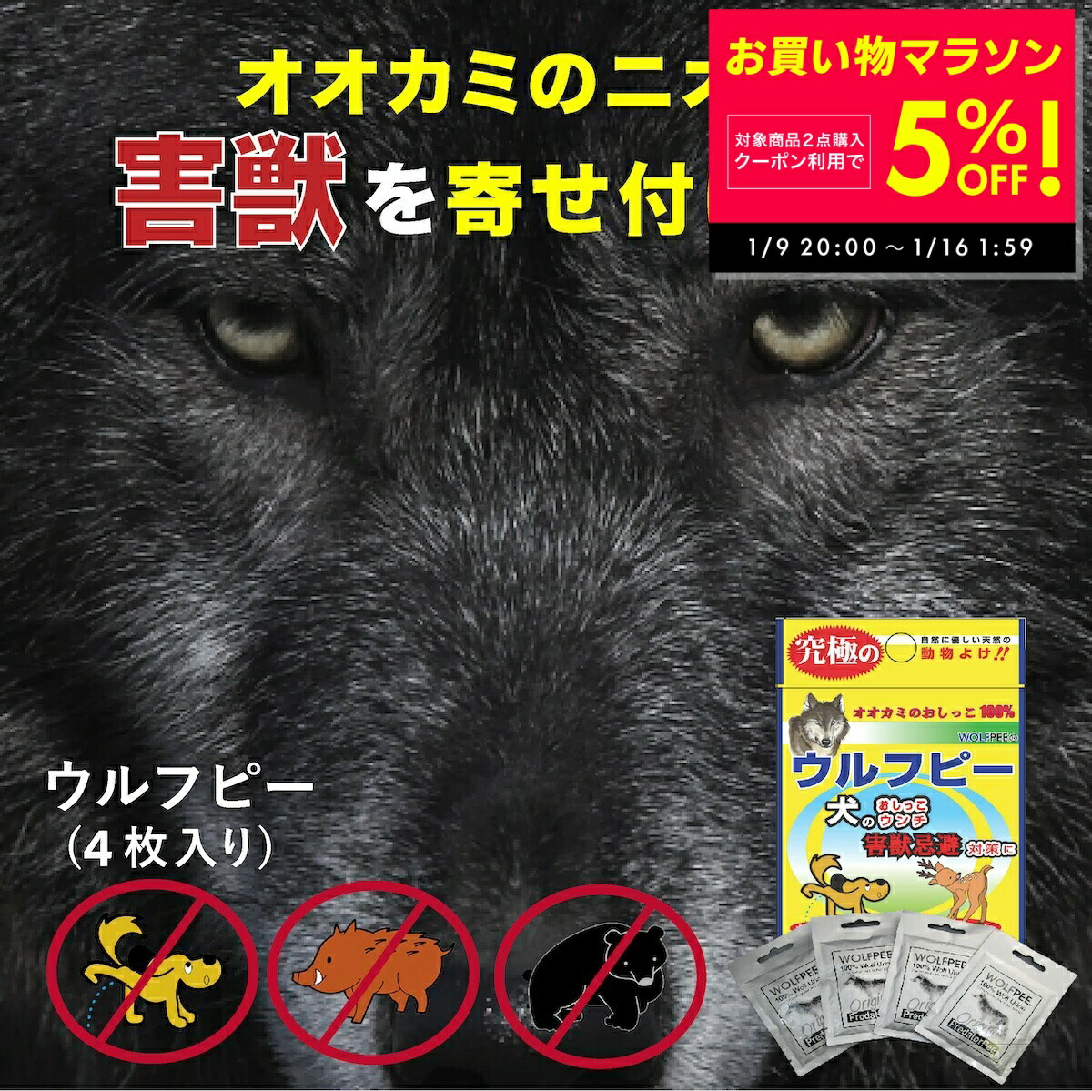楽天市場】撃退シカ3個入 シカ対策 超強力な激辛臭シート3枚入り 鹿