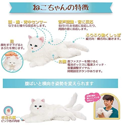 箇条10倍加 あなたの配偶者 しっぽふりふり あまえんぼうねこお父ちゃん 猫 ぬいぐるみ 癒し ヒーリング テレワーク 強調 取り消す 貨物輸送無料 Digitalland Com Br