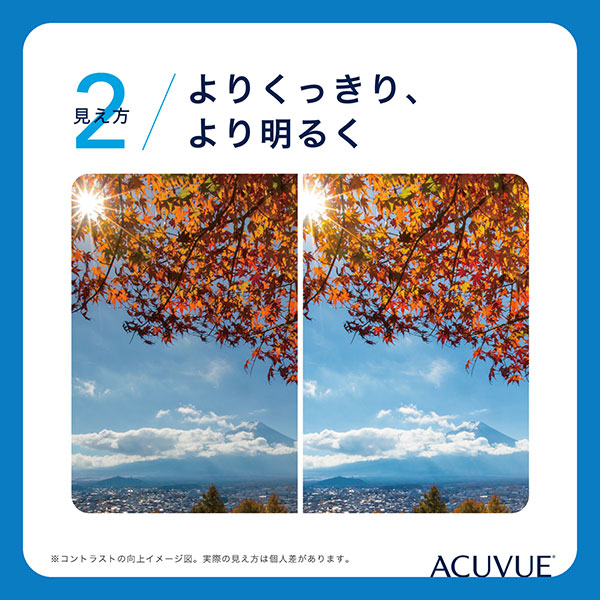 ワンデーアキュビューオアシス（片眼1ヶ月分）コンタクトレンズ1日使い捨て（30枚入)(ジョンソン&ジョンソンアキュビューオアシスシリコン)