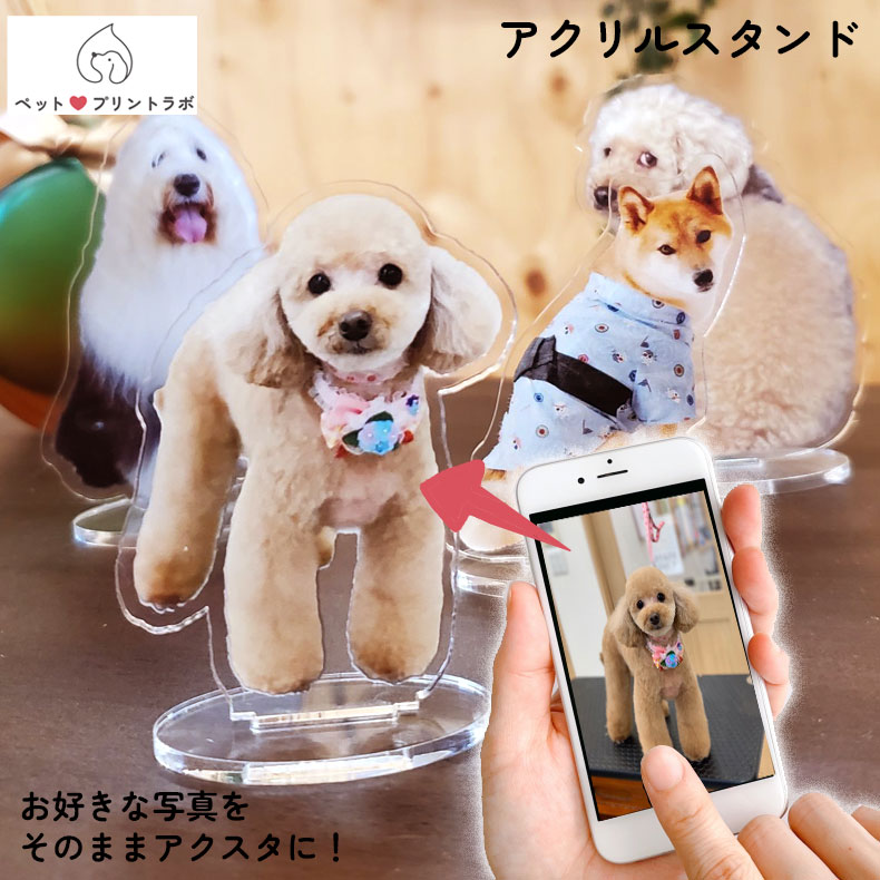 楽天市場】3個目無料 オリジナルプリント マイペット アクスタ