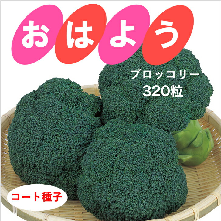 25日まで値下げ！今が買い！ブロッコリー種子（おはよう） 楽天市場】ブロッコリー 種 おはよう コート 約100粒 種 プロ