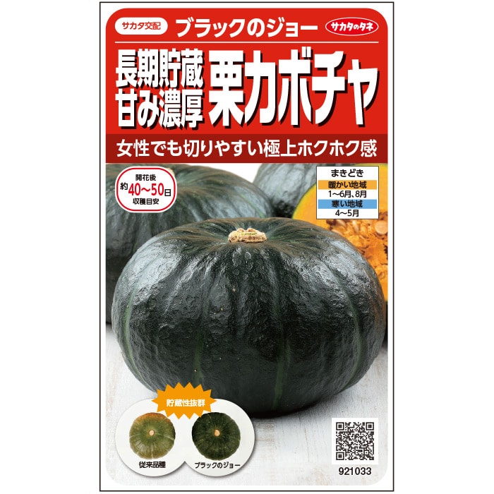 楽天市場】カボチャ 種 ブラックのジョー 【500粒】 大袋 営利用