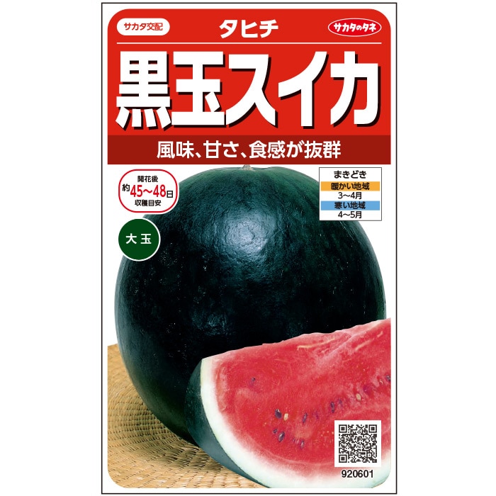 楽天市場】スイカ種 タキイ交配ブラックボール2 タキイ種苗の