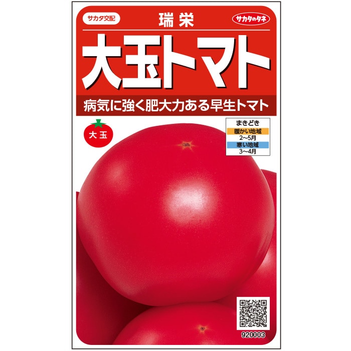 甘〜いトマトです。 種】「トマト」甘～いトマト 甘九郎 - 家庭サイエンス～家庭菜園