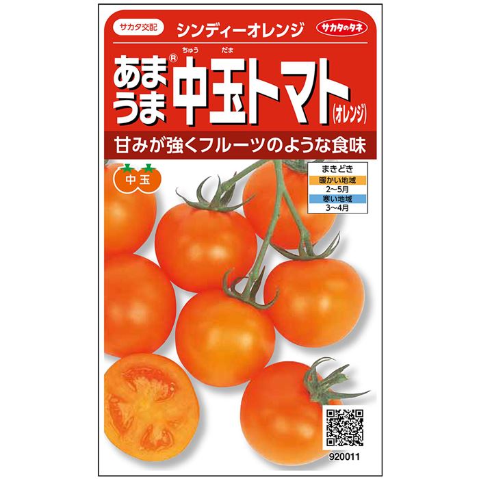 中玉 トマト 種 シンディーオレンジ サカタ 種苗 営利用 小袋 野菜 タネ プロ向け 家庭菜園 農家 セレクト たね トマト の 種 トマトの種 甘い 品種 野菜種 送料無料 菜園 家庭菜園トマト 自然栽培野菜 畑 畑仕事 中 玉 種まき 種子 ワイン お酒のおつまみ イタリアン ピザ|良い種 良い苗 良い園芸のお店plum