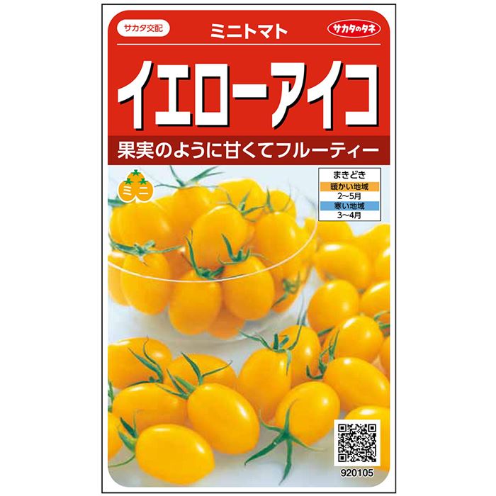 【楽天市場】ミニトマト 種 イエローアイコ 実咲 小袋 1000粒 大袋 営利用 サカタ の タネ 初心者向け 種 野菜 プロ向け 家庭菜園