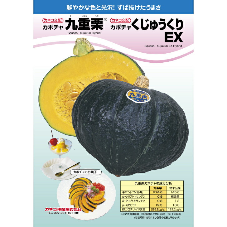 カボチャ 種 九重栗 くじゅうくりEX 【1000粒】 大袋 営利用 カネコ 種苗 野菜 プロ向け 家庭菜園 農家 セレクト たね 畑 かぼちゃの種 畑仕事 自然栽培野菜 送料無料 種子 野菜種子 種まき 温室 ギフト キット プレゼント 苗 かぼちゃ｜良い種 良い苗 良い園芸のお店plum