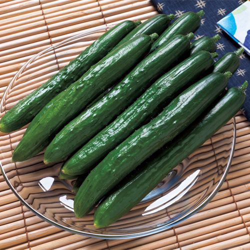 LINE耳あたらしい仲良し書きとどめる・100円OFFクーポン券