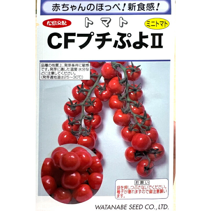 楽天市場】【新種予約】おおまさりネオ 1リットル 約350粒 落花生 種 渡辺農事 家庭菜園 オオマサリネオ らっかせい : 良い種 良い苗  良い園芸のお店plum