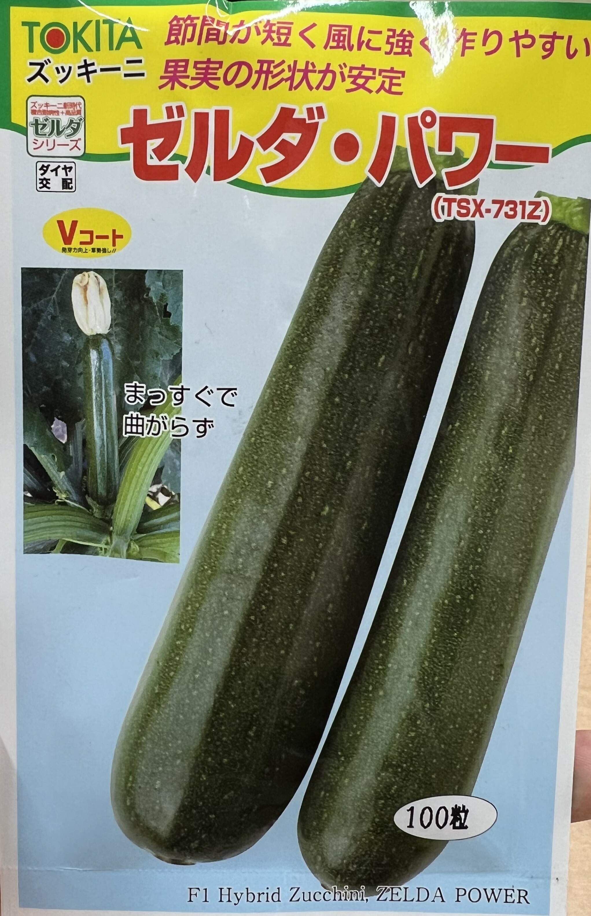 LINE耳あたらしい仲良し書きとどめる・100円OFFクーポン券 ガーデニング・農業-花・ガーデン・DIY-種子