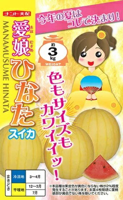 大人気 【即日発送】  【MBRQWY01ZTW】 限定デザイン