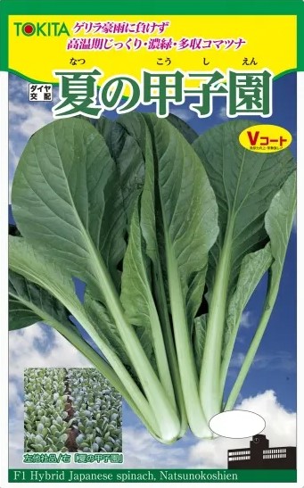 こまつ菜ページ こまつな小僧 on X: 