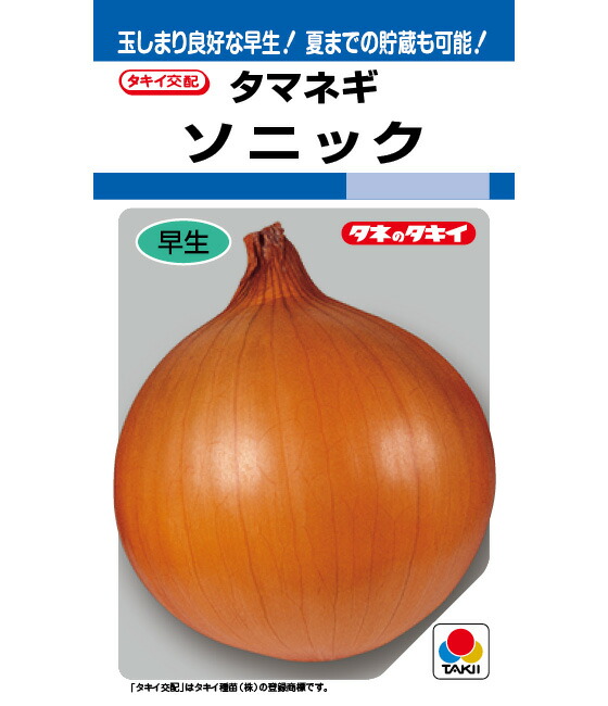 玉ねぎ苗ソニック800本以上 compass1721457411.jpg