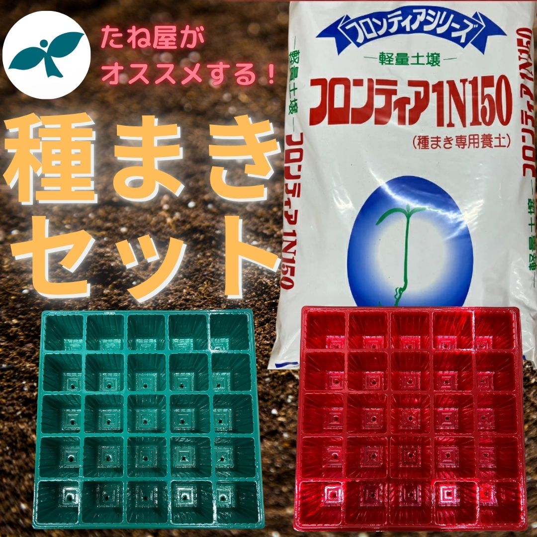 楽天市場】プラグトレー 手植用 黒 3枚セット 野菜・花のタネまき 育苗