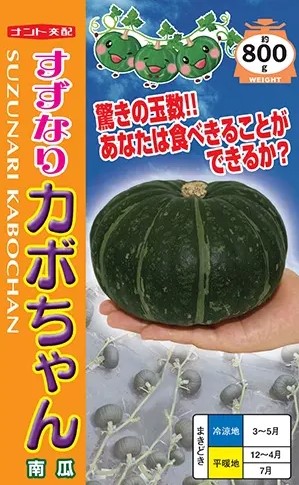 かぼちゃ出品 鈴かぼちゃ 1個 [愛知/北海道/沖縄/他] / かぼちゃ | 野菜
