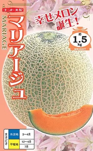 楽天市場】メロン 種 マリアージュ春秋系 ナント 種苗 おいしい