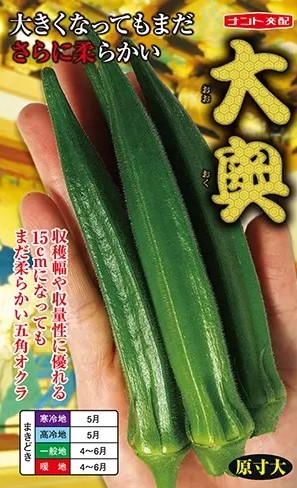 オクラ 種 大奥 ナント 種苗 おいしい 種類 家庭菜園 プロ向け 大袋 小袋 農家 セレクト 家庭菜園 野菜の種 菜園 畑 プランター栽培 ベランダ菜園 プランター菜園 家庭菜園初心者 園芸初心者 簡単栽培 野菜作り 自家栽培 露地栽培 ハウス栽培 地植え 鉢植え 柔らかい|良い種 良い苗 良い園芸のお店plum