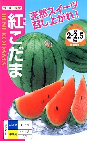 LINE目あたらしい馴染み書きとどめる・100円OFF引き換え証