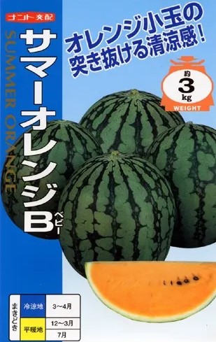 LINE事あたらしい仲よし書きとどめる・100円OFFクーポン券