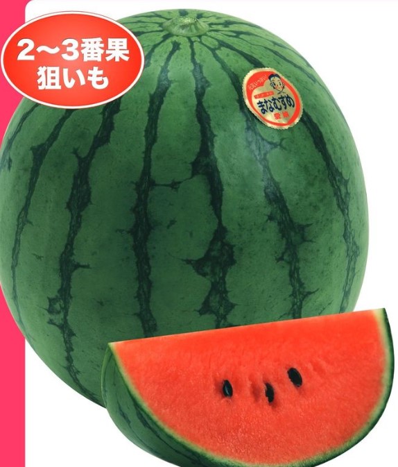 楽天市場】スイカ 種 愛娘なつこDX ナント種苗 すいか 家庭菜園 プロ