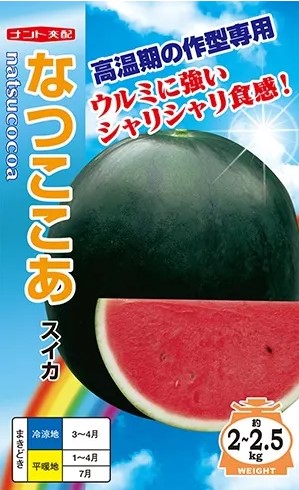LINE目あたらしい馴染み書きとどめる・100円OFF引き換え証
