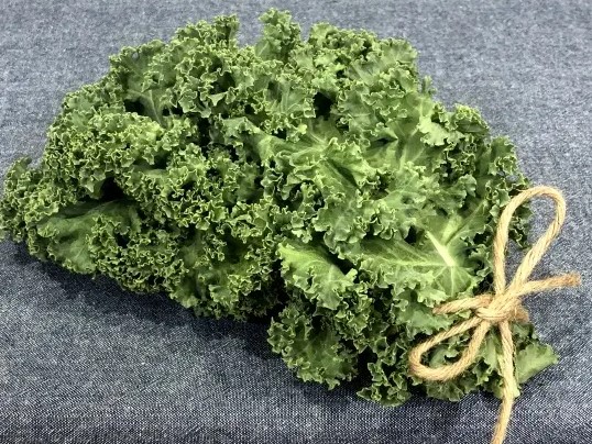 ケール 種 カリーノケール・ヴェルデ イタリア 野菜 種 トキタ 種 苗 グストイタリア おいしい 種類 家庭菜園 プロ向け 大袋 小袋 農家 セレクト フリル形状 葉辺の欠核 立体的な形状 立体的 ボリューム感 ヴェルデ 緑色 緑 立体的な葉 緑|良い種 良い苗 良い園芸のお店plum