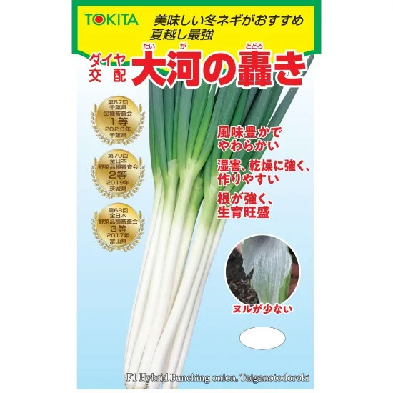 楽天市場】ネギ 関羽一本太 コート5000粒 トーホク種苗 営利用