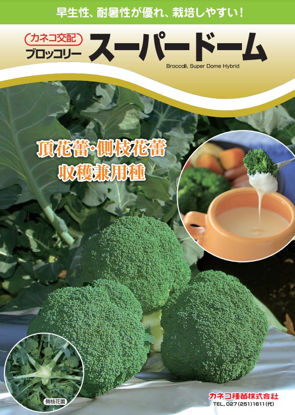 楽天市場】ブロッコリー 種 トップギア タキイ 種苗 家庭菜園