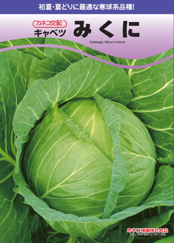 野菜ページ 2024秋冬総合カタログ ページ 31