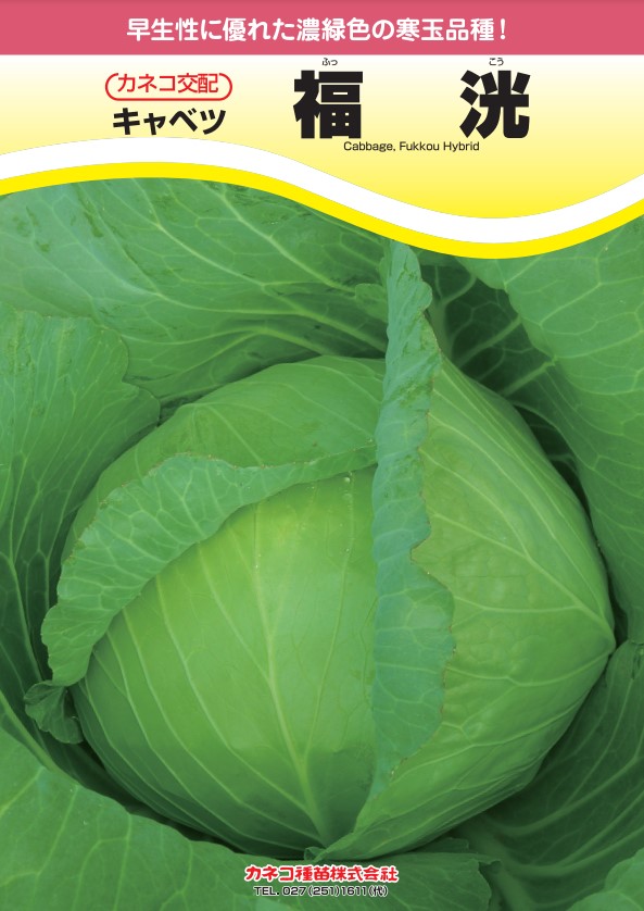 楽天市場】キャベツ 種 KE-739 カネコ 種 苗 種子 畑 品種 たね 送料