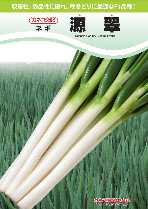 ねぎ  NINJA ZX-25R SE/KRT EDITION（'20〜'22） GPスペック フル