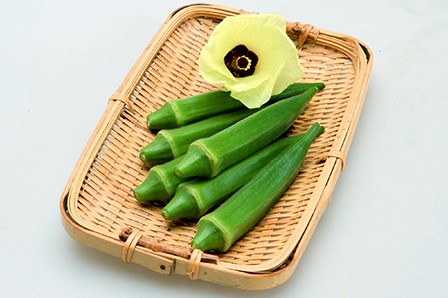 オクラ 種 ジョニー カネコ 種 苗 おいしい 種類 家庭菜園 プロ向け 大袋 小袋 農家 セレクト 家庭菜園 野菜の種 菜園 畑 プランター栽培 ベランダ菜園 プランター菜園 家庭菜園初心者 園芸初心者 簡単栽培 野菜作り 自家栽培 露地栽培 ハウス栽培 地植え 鉢植え|良い種 良い苗 良い園芸のお店plum