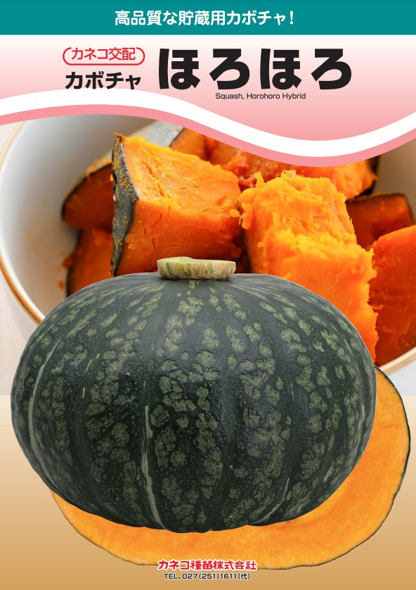 カボチャ 種 ほろほろ カネコ 種苗 野菜 プロ向け 家庭菜園 農家 セレクト たね 畑 かぼちゃの種 畑仕事 自然栽培野菜 送料無料 種子 野菜種子 種まき 温室 ギフト キット プレゼント 苗 かぼちゃ|良い種 良い苗 良い園芸のお店plum