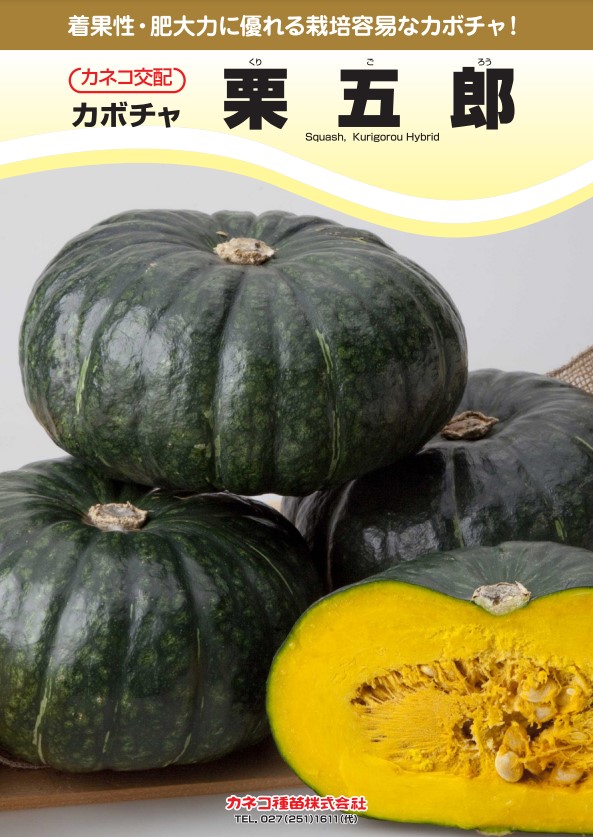 カボチャ 種 栗五郎 カネコ 種苗 野菜 プロ向け 家庭菜園 農家 セレクト たね 畑 かぼちゃの種 畑仕事 自然栽培野菜 送料無料 種子 野菜種子 種まき 温室 ギフト キット プレゼント 苗 かぼちゃ|良い種 良い苗 良い園芸のお店plum