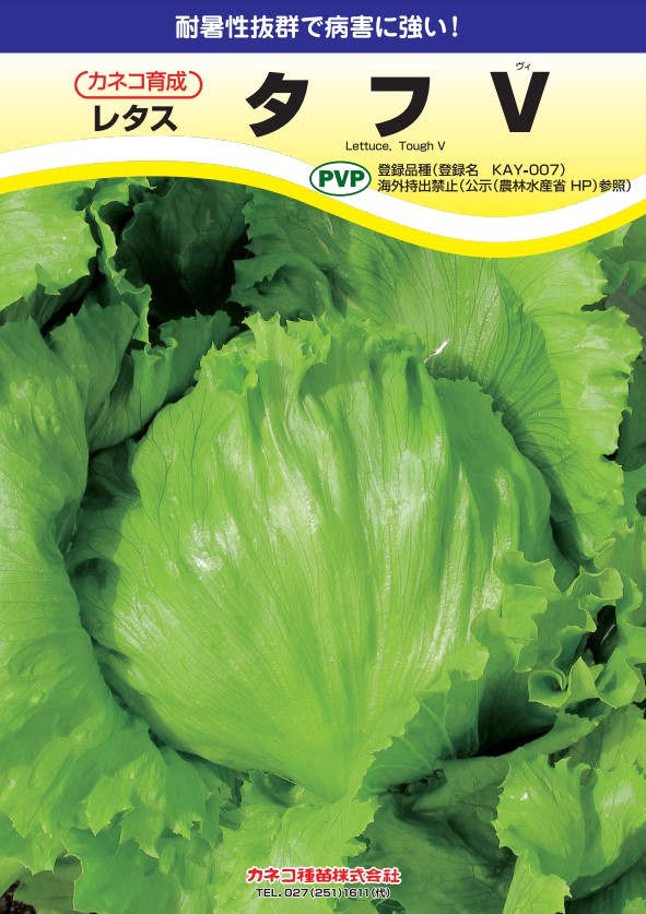 レタス ヒートガイ ペレット種子5000粒 タキイ種苗（株） 楽天市場