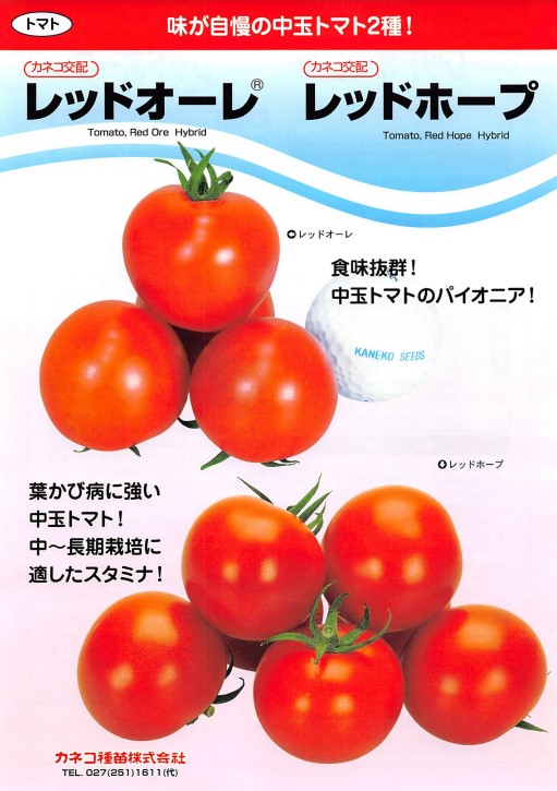 トマト 種 レッドオーレ カネコ 種 苗 おいしい 種類 家庭菜園 プロ向け 大袋 小袋 農家 セレクト｜良い種 良い苗 良い園芸のお店plum