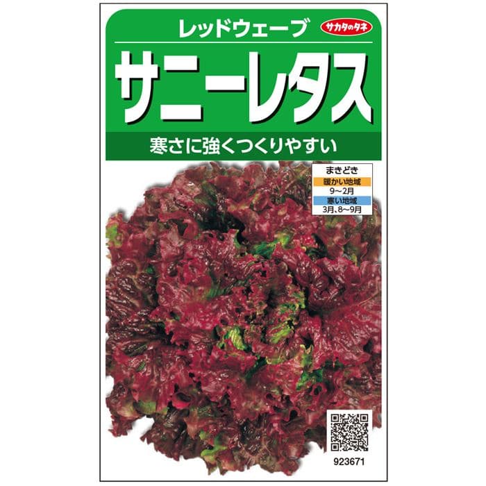 楽天市場】サニーレタス 種 レッドウェーブ コート5000粒 大袋 営利用
