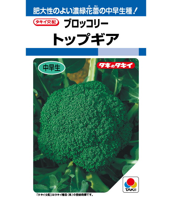 ブロッコリー 種 トップギア タキイ 種苗 家庭菜園 野菜の種 菜園 畑 プランター栽培 ベランダ菜園 プランター菜園 家庭菜園初心者 園芸初心者 簡単栽培 野菜作り 自家栽培 露地栽培 ハウス栽培 地植え 鉢植え 種まき 家庭用 園芸用 無農薬栽培 有機栽培|良い種 良い苗 良い園芸のお店plum