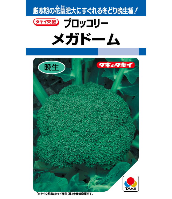 楽天市場】ブロッコリー 種 トップギア タキイ 種苗 家庭菜園