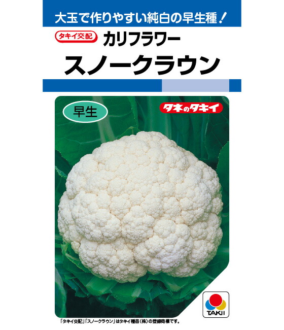 LINE目あたらしい馴染み書きとどめる・100円OFF引き換え証