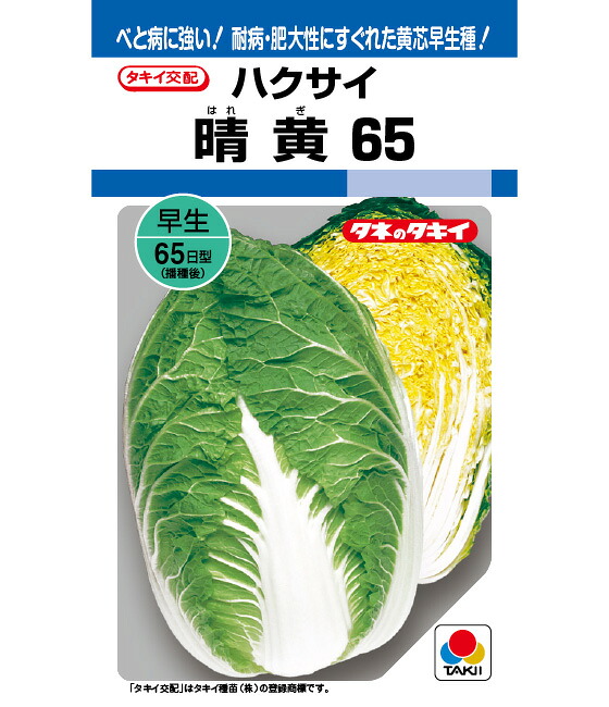 白菜 種 晴黄65 タキイ 種苗 家庭菜園 ハクサイ プロ向け 大袋 小袋 農家 セレクト たね タネ|良い種 良い苗 良い園芸のお店plum
