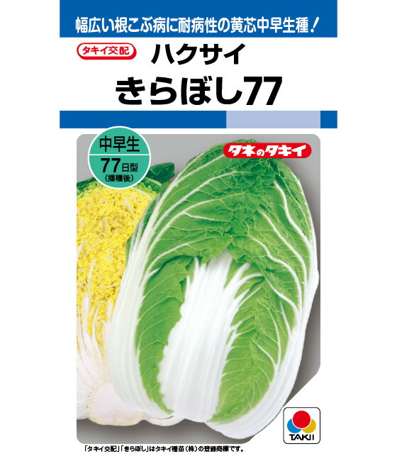 野菜の種(新種)18袋その③ 野菜の種(新種)×18袋