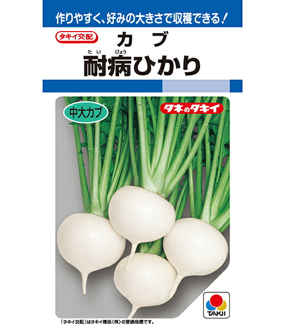 LINE事あたらしい仲よし書きとどめる・100円OFFクーポン券