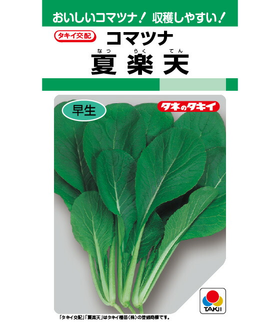 トキタ 真夏の四番打者 小松菜 種 こまつな 1個 楽天市場】小松菜 種