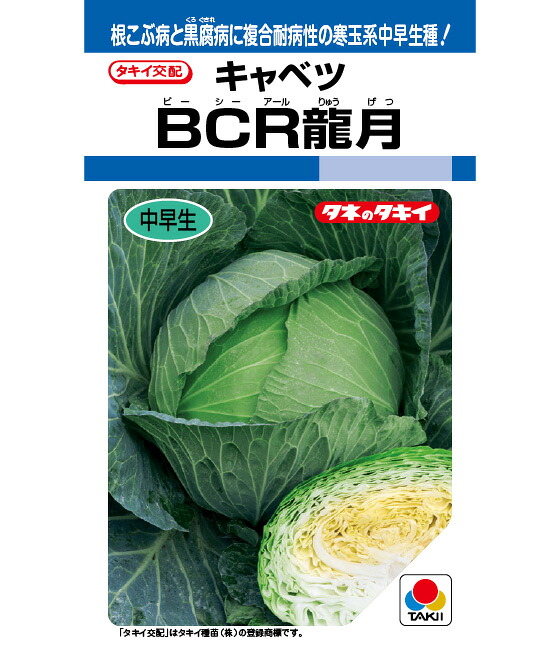 キャベツ 種 BCR龍月 タキイ 種苗 種子 畑 品種 たね 送料無料 キャベツ種 キャベツの種 自然栽培野菜 鉄分 鉄分補給 マグネシウム ビタミンC カルシウム 菜園 畑仕事 種苗 タネ ロールキャベツ キャベツの千切り お酒のおつまみ|良い種 良い苗 良い園芸のお店plum